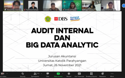Internal Audit and Big Data Analytic